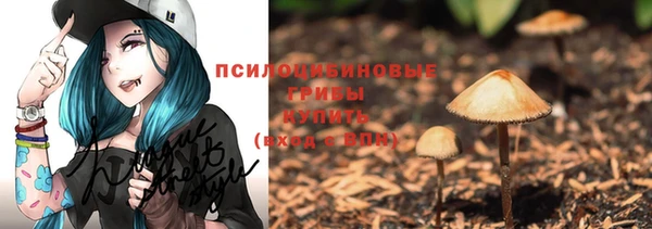 индика Алзамай