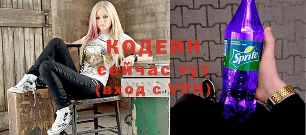 индика Алзамай