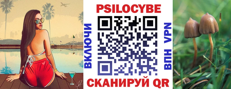 Псилоцибиновые грибы прущие грибы  цены наркотик  Щигры 